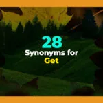 synonyms for get
