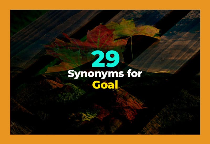 Synonyms for Goal