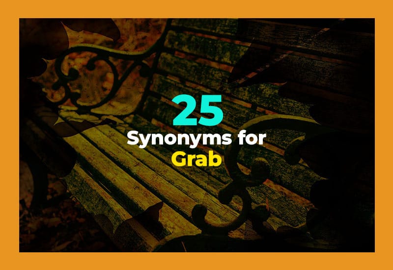Synonyms for Grab