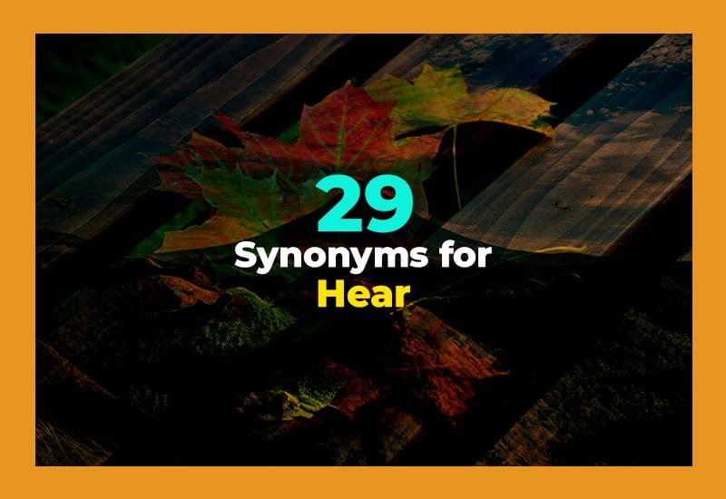 Synonyms for Hear