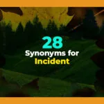 synonyms for incident