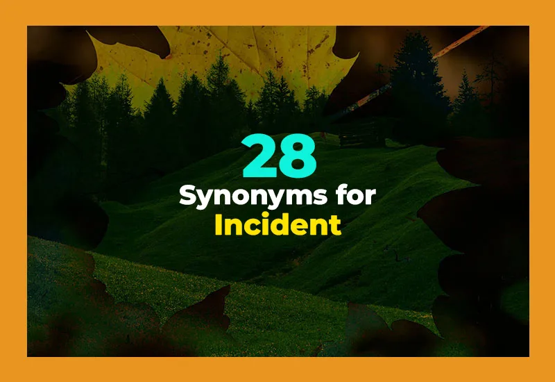 Synonyms for Incident
