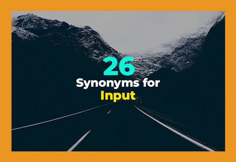 Synonyms for Input