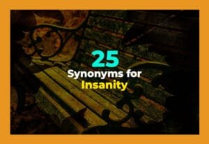 synonyms for insanity
