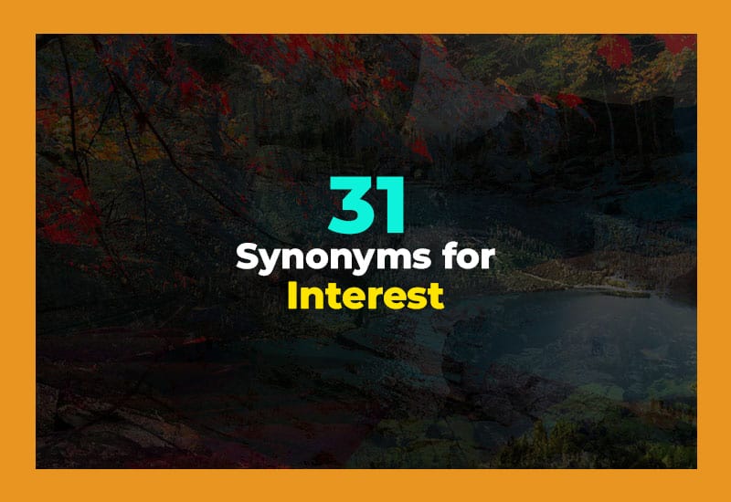 Synonyms for Interest