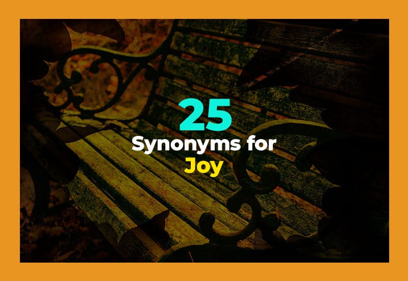 Synonyms for Joy