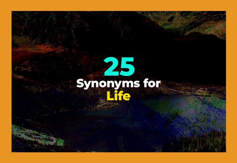 Synonyms for Life
