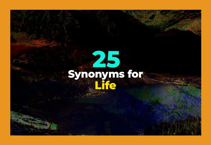 Synonyms for Life