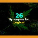 synonyms for logical