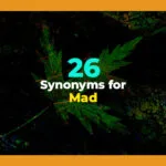 synonyms for mad