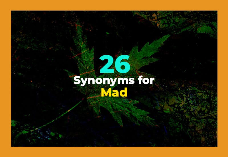 Synonyms for Mad