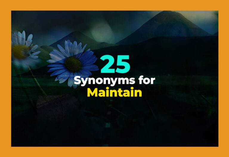 synonyms for maintain