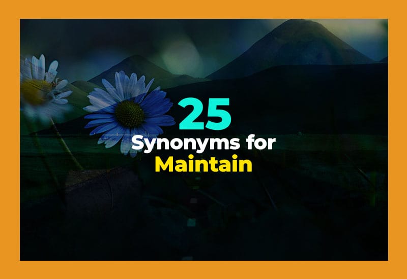 Synonyms for Maintain