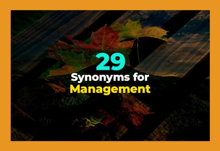 synonyms for management