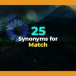 synonyms for match