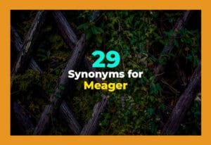 synonyms for meager