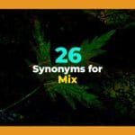 synonyms for mix