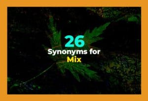 synonyms for mix