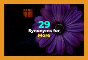 synonyms for more