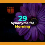 synonyms for morning