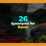 synonyms for novel