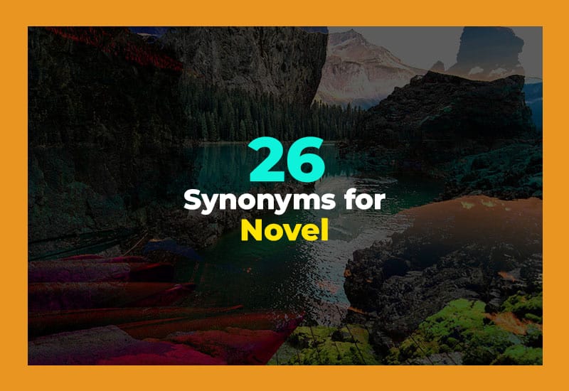 Synonyms for Novel