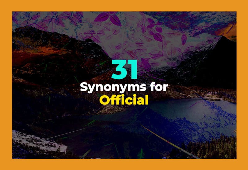 Synonyms for Official