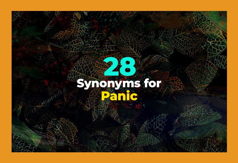 Synonyms for Panic