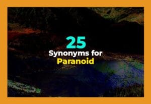 synonyms for paranoid