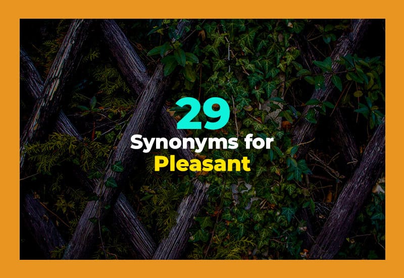 Synonyms for Pleasant