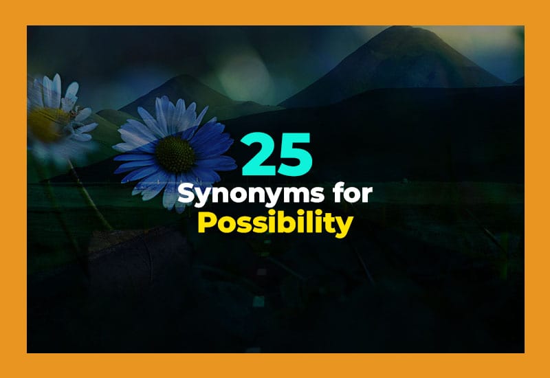 Synonyms for Possibility