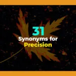 synonyms for precision