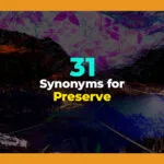 synonyms for preserve