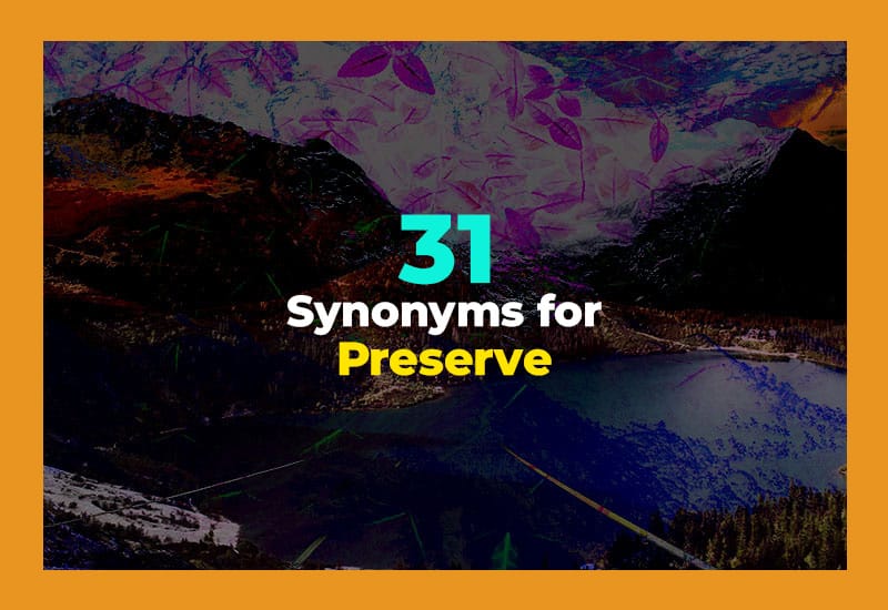 Synonyms for Preserve