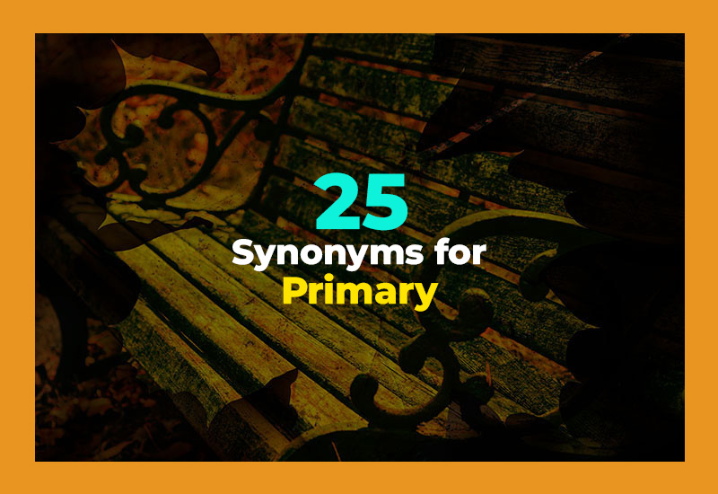 Synonyms for Primary
