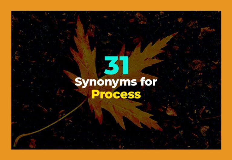 synonyms for process