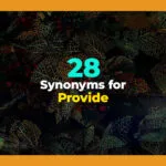 synonyms for provide