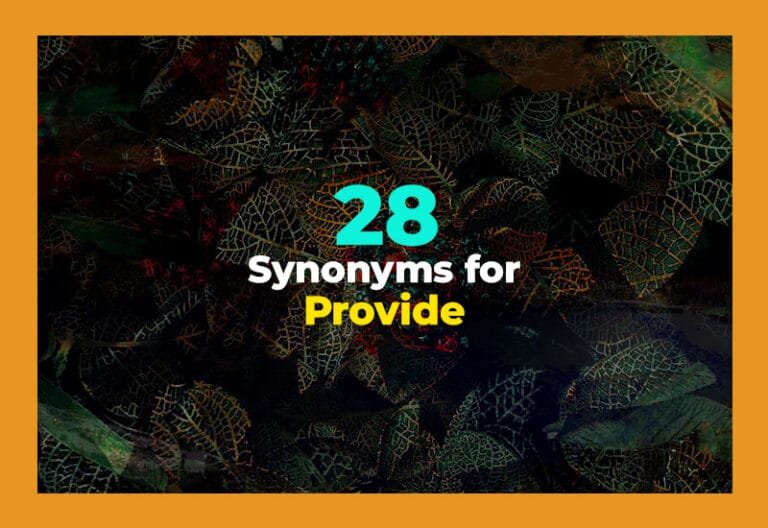 synonyms for provide