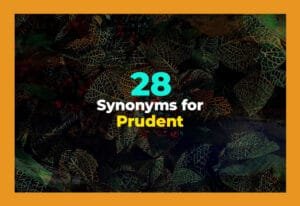 synonyms for prudent