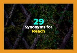 synonyms for reach