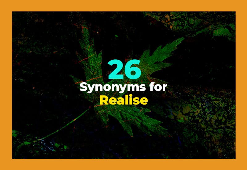 Synonyms for Realise