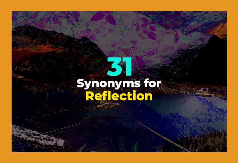 Synonyms for Reflection