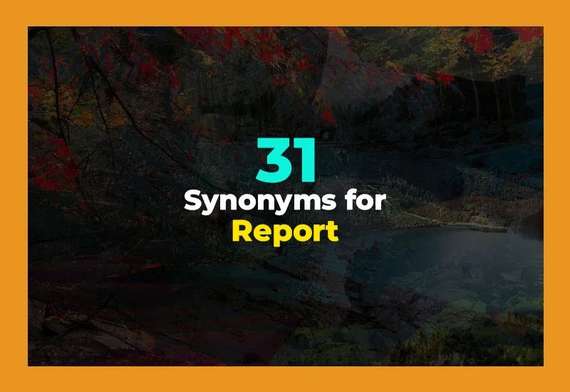 Synonyms for Report