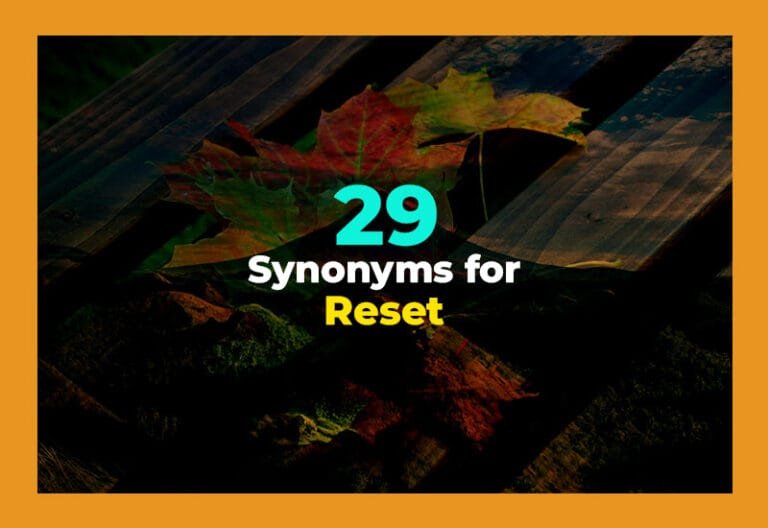 synonyms for reset