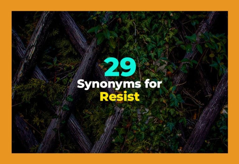synonyms for resist