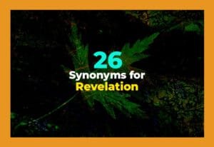 synonyms for revelation