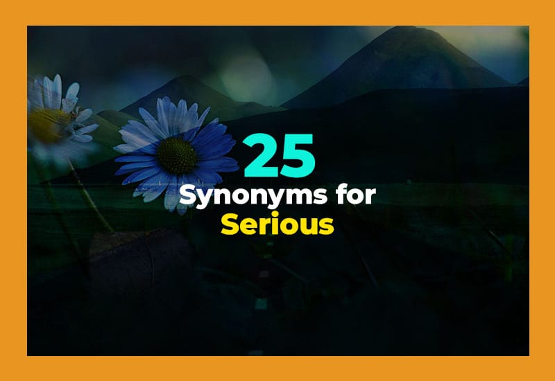 Synonyms for Serious
