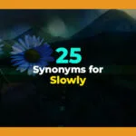 synonyms for slowly