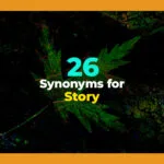 synonyms for story
