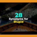 synonyms for stupid